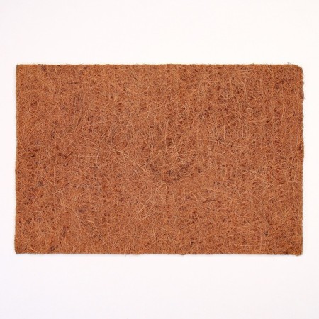 Coconut fiber rug, 30 x 20 cm-1