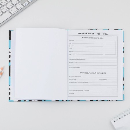 School Diary 5-11 Grade "September 1: Panda", solid cover 7BC, glossy lamination, 48 sheets-2