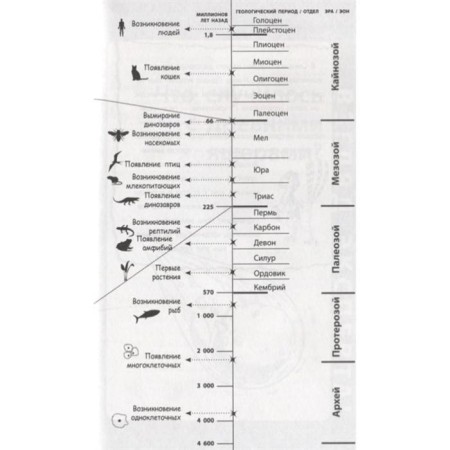 «Спинозавр», Бен Гэррод-6