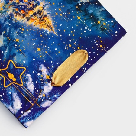 Package Gift New Year Laminated "Night Beauty", 18 x 22.3 x 10 cm.-2