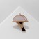 Brooch "Klosh", beige color in gold