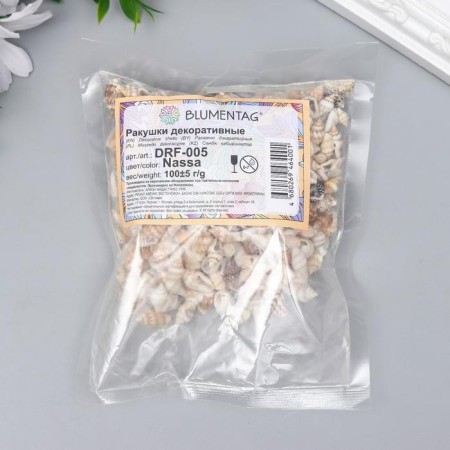 Decorative shells "Nassa" 100 g ± 5 g 0.6-1.2 cm-3