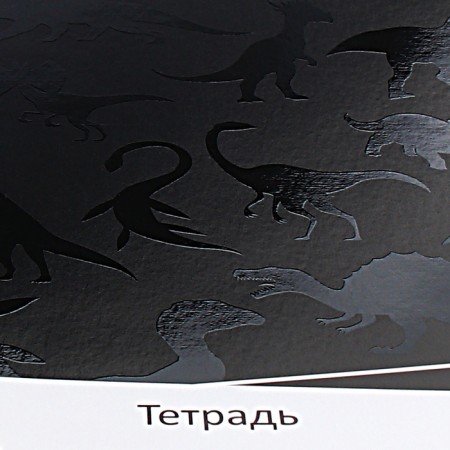 Notebook of 12 sheets in the Erichkrause "Black Pattern", UV-LK, Cover Cover Cardboard, Offset Bloc, Mix-10