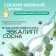 Synergetic air freshener “Juniper and Angelika berries”, 380 ml