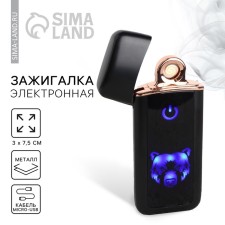 Electronic lighter 