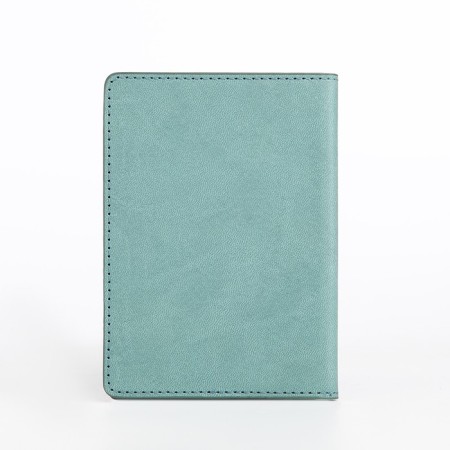 Cover for passport, mint color-1