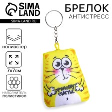 Antistress keychain 