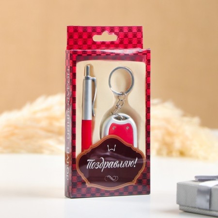 Gift set 2B1 (pen, flashlight red)