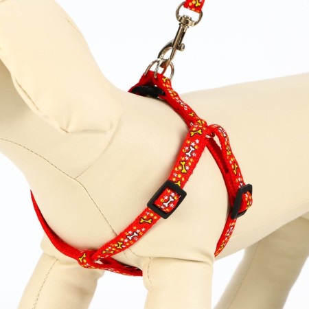 Set "Star Bones", leash 120 x 1 cm, og 23-35 cm, red-1