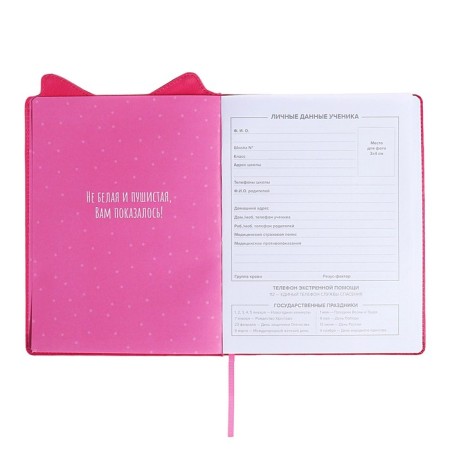 School diary for grades 1-11, boss spitz, firm covered with foam, artificial leather, curly cutting, liesse, universal cheat sheet, 48 sheets, block 80g/m2-3