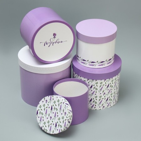 Set of hats 5 in 1, gift packaging, Lavender, 13 x 14 - 19.5 x 22 cm-2
