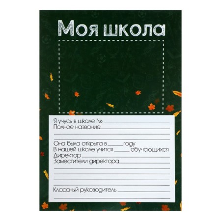Lesets sheets for a schoolboy portfolio, 15 sections, 17 sheets of "rocket", in a folder-17