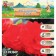 Tensor begonia "Scarlet", 4/5, 5 pcs, spring 2024