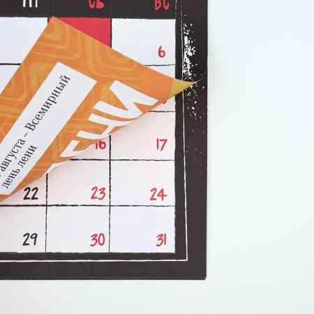 Calendar-planning "Funny Holidays", 29 x 21 cm-6