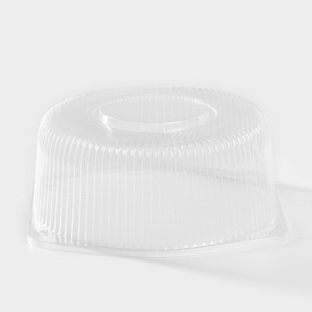 Cormore is a plastic disposable with a connective lid for 30, 22 × 10 cm, the color is transparent-3