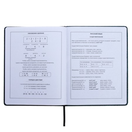Universal Diary Grade 1-11, 48 sheets of "guitar", a solid cover of artificial leather, lies, an offset unit-12