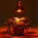 Infrared lamp, 250 watts, E 27, 220V, wavelength of 2500 nm, red sausage