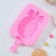 Form for ice cream “Pineapple”, silicone, 14 × 7.5 × 2.5 cm, pink color