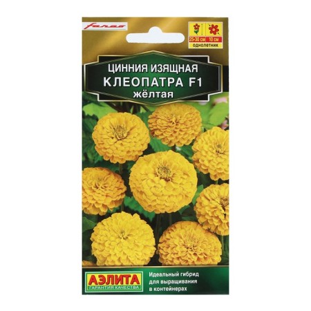 Cinnia flowers "Cleopatra", F1, yellow, 12 pcs