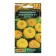 Cinnia flowers "Cleopatra", F1, yellow, 12 pcs