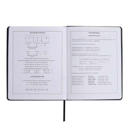 Universal Diary Grade 1-11, 48 sheets "fighter", solid cover of artificial leather, lies, universal cheat sheet, block 80 g/m2-10