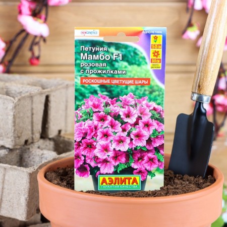 Petunia seeds mambo F1 pink with veins multi -flowered, 7 pcs