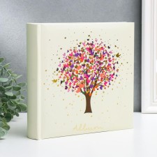 Photo album 