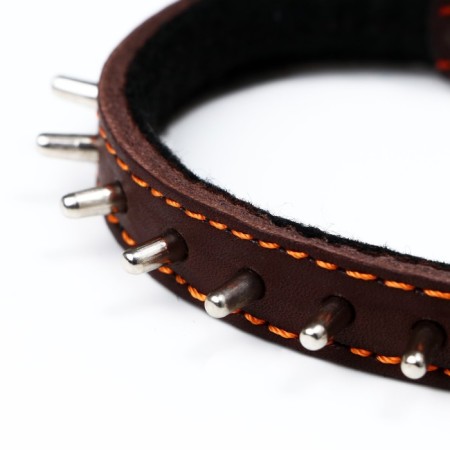 Leather collar on synthetic winterizer, Hedgehog 36 x 1.5 cm, Osh 20-30 cm, brown-4