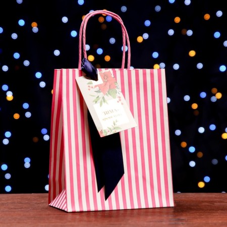 Package gift craft "Winter time of miracles" 18 x 22.3 x 10 cm