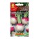Republic seeds "Purple with the white tip", c/p, 1 g