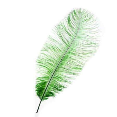 Feather for decor, length: from 45 to 50 cm, emerald color
