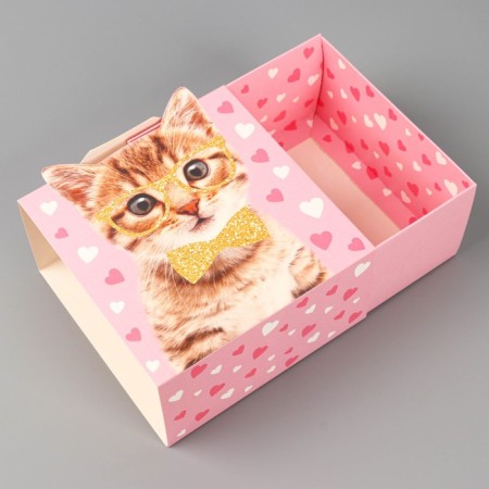 Gift folding box, packaging, “cat”, 15 x 15 x 8 cm-3