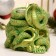 Climb "Snake on the skull" Green with gilding, 11x10x8cm