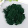 Moss stabilized "grass" 45 grams (+-5 gr)