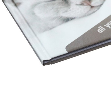 Notepad A6, 40 sheets in the Sleeping Catca, hard cover, offset unit-2