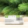 Set 2 aroma machine 10 ml of "good health in the new year!" Eucalyptus, mint
