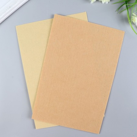 Hard felt 1 mm 20x30 cm St.-2