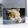 Photo album in 36 photos, 18 sheets "Koteka" 10x15 cm