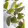 Decorative tree in a cement pot with a stand of MDF, 14 × 14 × 79 cm