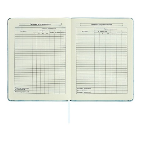Diary 1-11 grade "Blue marble", artificial leather, a solid cover with embossing, with liesa, 48 sheets-8