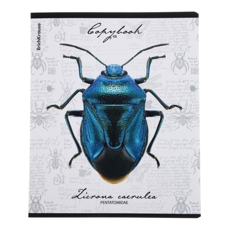Notebook of 48 sheets in the Erichkrause "Beetles", matte lamination, an offset block 100%, mix-6
