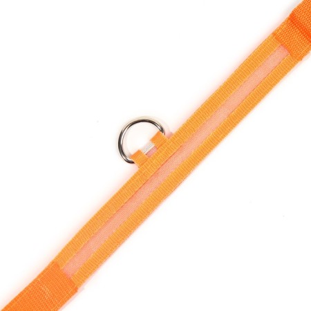 Collar with backlight size m, osh 40-48 x 2.5 cm, 3 glow modes Orange-8