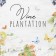 Ethel towel Vine Plantation 40x73 cm, 100% cotton, sarzha 190 g/m2