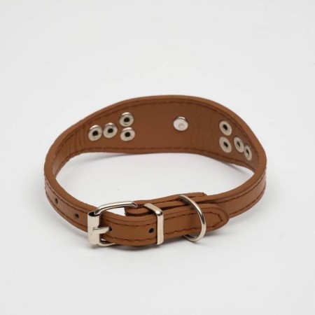 A collar of a groan with a puppy, 29-32 x 2.5 cm, artificial leather, brown-1