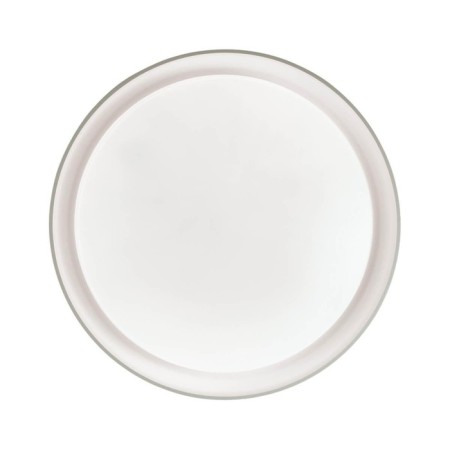Bionic lamp, 48W LED 3000-6500K, 3800LM, white color, IP43 with FDU