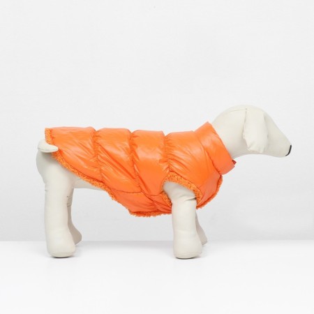 Dog jacket "Shine", s (DS 25, OG 37, Osh 24 cm, up to 5 kg), orange-2