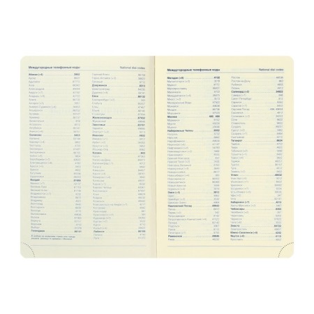 Deliciper of Leduced A5, 136 sheets in a ruler, leatherette "Nebraska", gold cut, brown-4