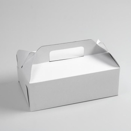 Removal box, white, 25 x 16 x 9 cm