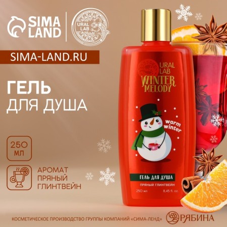 Shower gel Winter Melody, 250 ml, spicy mulled wine aroma, Ural Lab