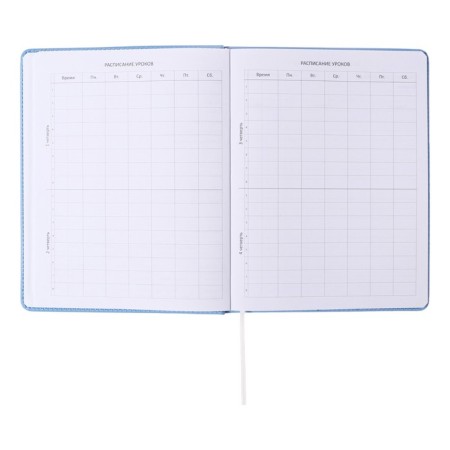 Universal diary for grade 1-11 Modern Concept, solid cover, artificial leather, silkography, liesse, 80 g/m2-4